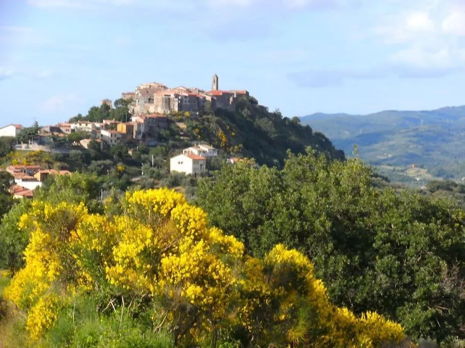 42 Vacanza Di Relax In Maremma - Wifi - Free Parking Castel del Piano  Castel del Piano (Tuscany)