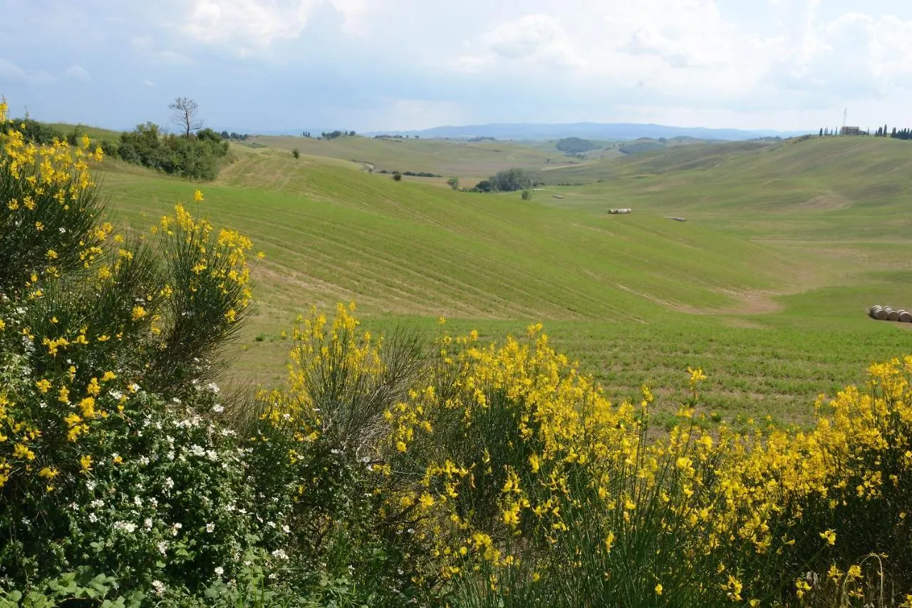 Appartamento Delizioso monolocale sulle colline Toscane Castel del Piano  Italia